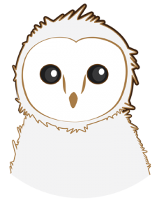 Owlivia is our little Barn Owlet mascot.